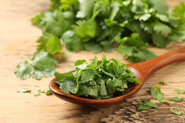 Obraz na płótnie Canvas Fresh green cilantro and spoon on wooden table, closeup
