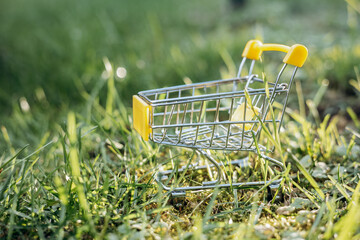 Sustainable consumption. Empty shopping cart on green grass background. Zero waste concept. Copy space.