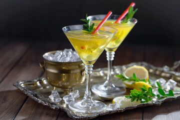 Refreshing summer alcoholic cocktail with crushed ice and citrus fruits