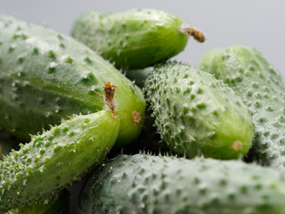 agricultural products green prickly cucumber on gray background