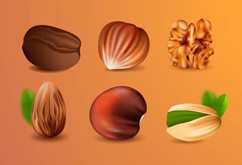Collection of realistic nuts. Stickers with pistachios, almonds, peanuts, chestnuts and walnuts. Design element for poster, packages and cafe menus. 3d modern vector set isolated on orange background