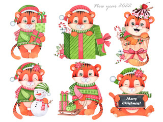 Cute tigers on a white background. Christmas set. Symbol of 2022. Watercolor illustration.