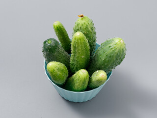 agricultural products green prickly cucumber on gray background