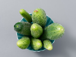 agricultural products green prickly cucumber on gray background