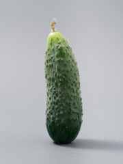 agricultural products green prickly cucumber on gray background