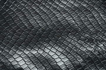 Black snake style skin background