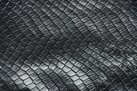 forfængelighed sammenhængende Lagring Black Snake Skin Images – Browse 30,940 Stock Photos, Vectors, and Video |  Adobe Stock