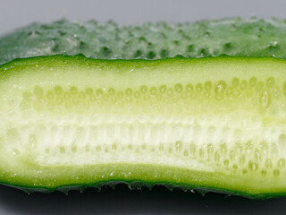 agricultural products green prickly cucumber on gray background
