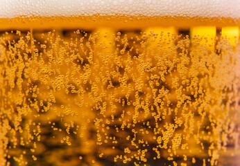 cold glass of beer .close up