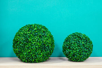 Two decorative balls made of green artificial boxwood stand on  wooden surface near  turquoise wall. Interior decorations.