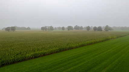 Aerial view of a rural landscape during sunrise in Belgium. Rural farm, corn fields, green fields, sunlight and fog. Belgium, Europe. High quality photo