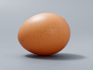 agricultural products chicken egg elite natural on a gray background