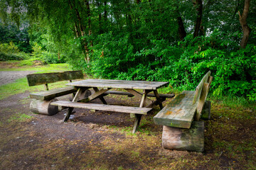 A view of wooden benches and table in forest for picnic and resting