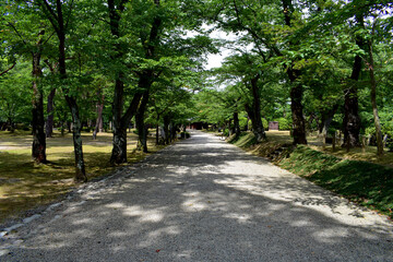 久保田城(矢留城、葛根城、秋田城)　本丸
