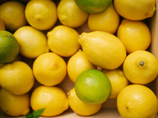 Juicy lemons on the counter in the supermarket. Close-up. Healthy eating and vegetarianism. Space for text. Background.