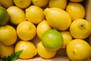 Juicy lemons on the counter in the supermarket. Close-up. Healthy eating and vegetarianism. Space for text. Background.