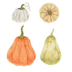 Watercolor set of pumpkins on isolated white background.