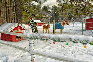 Cute ponies and horses behind a simple fence in the snow decorated with Christmas New Year...