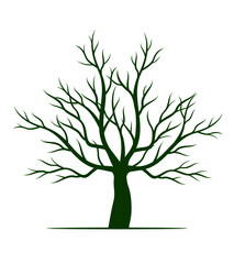 Obraz premium Green tree on white background. Vector outline Illustration. Plant in Garden.