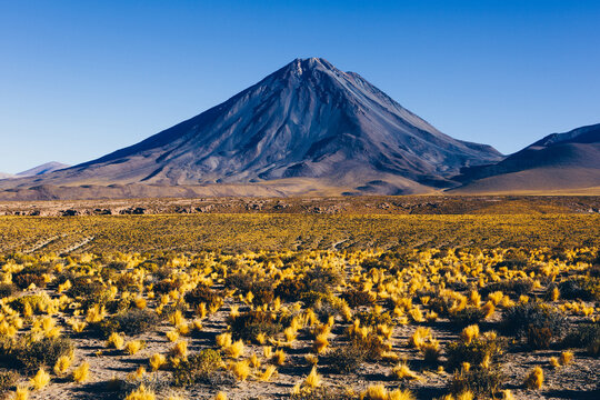 Catarpe, Licancabur volcano, Atacama desert, Chile