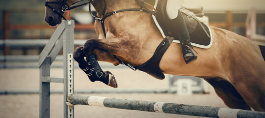 The shod hooves of a horse over an obstacle. The horse overcomes an obstacle. Equestrian sport,...