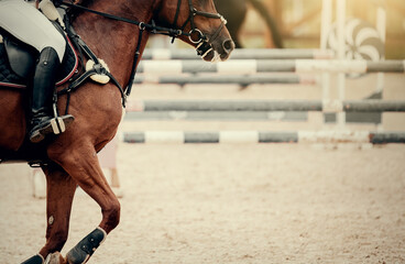 Equestrian sport, jumping. Show jumping