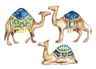 Watercolor set of isolated illustrations, Camel with saddle and ornaments