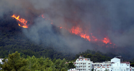 Wildfire in the forest near a resort town.Marmaris, Turkey. Summer 2021