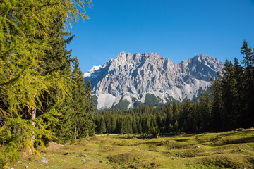 Obraz premium austrian side of famous Zugspitze mountain, view from Ehrwald, green pasture
