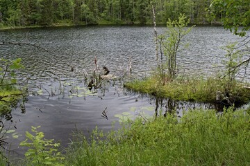 View of Bolshoe Kamennoe Lake. Bolshoy Solovetsky Island.Russia.