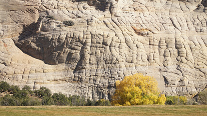 Sunny autumn and fall landscapes with yellow leafs near Boulder, USA.