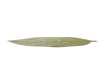 Fototapeta premium perspective view of isolated in the form of a leaf placemat for food. Close up of bamboo mat Empty space for your design