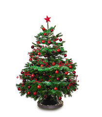 Beautiful,real,decorated christmas tree against white studio background,isolated.