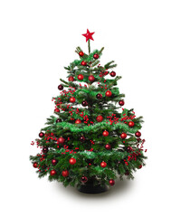 Beautiful,real,decorated christmas tree against white studio background,isolated.