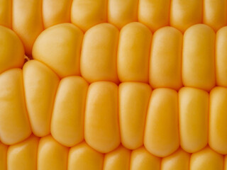 ripe yellow corn as a texture