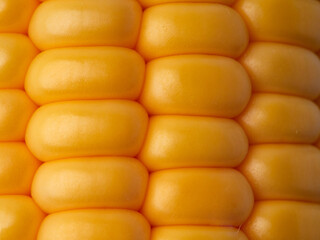 ripe yellow corn as a texture