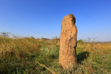 old stone idol in steppe