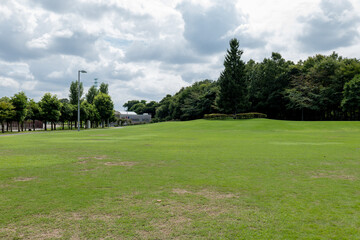 芝生の公園