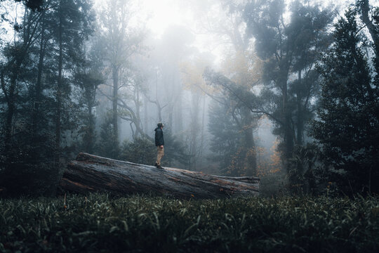 Man Standing On Field In Forest