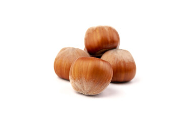 Group of hazelnuts, isolated on white background