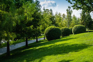 Landscape with green grass, evergreens, playgrounds and sports grounds in Public Landscape City...