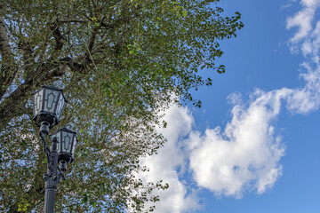 Street lamp in the old style on the background of autumn poplar and blue sky with white clouds