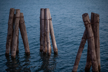 wood poles in the lake - Powered by Adobe