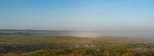 Misty morning in rural Northumberland, UK