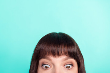 Cropped photo brunette woman looking adown staring shocked isolated vivid turquoise color background