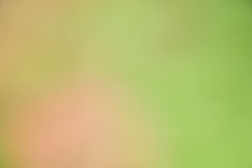 Obraz premium World environment day concept: Abstract blurred green colorful nature wallpaper background for banner, header website, present background, poster