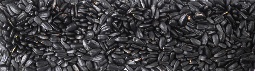 Black sunflower seeds close up background - obrazy, fototapety, plakaty