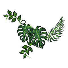 Obraz premium green tropical leaf