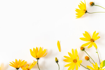 Flowers composition. Yellow flowers on white background. Spring, summer, autumn concept. Fall shopping, promotion, discount. Flat lay, top view, copy space.