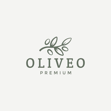 olive logo design vector illustration